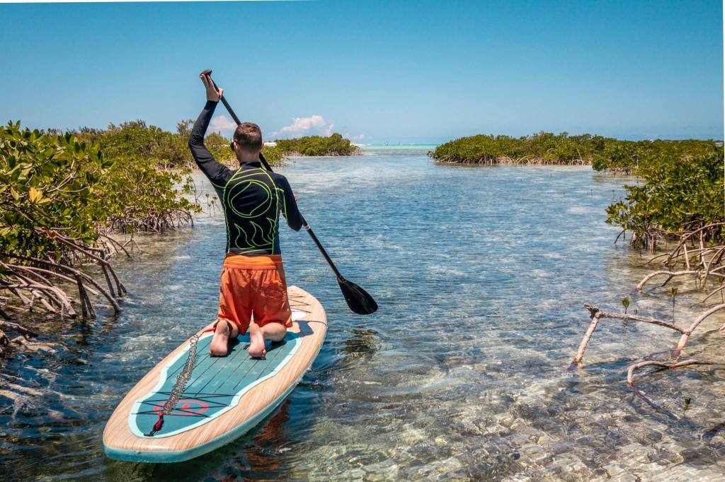 Eco tour paddleboarding at Mangrove Cay in Turks and Caicos