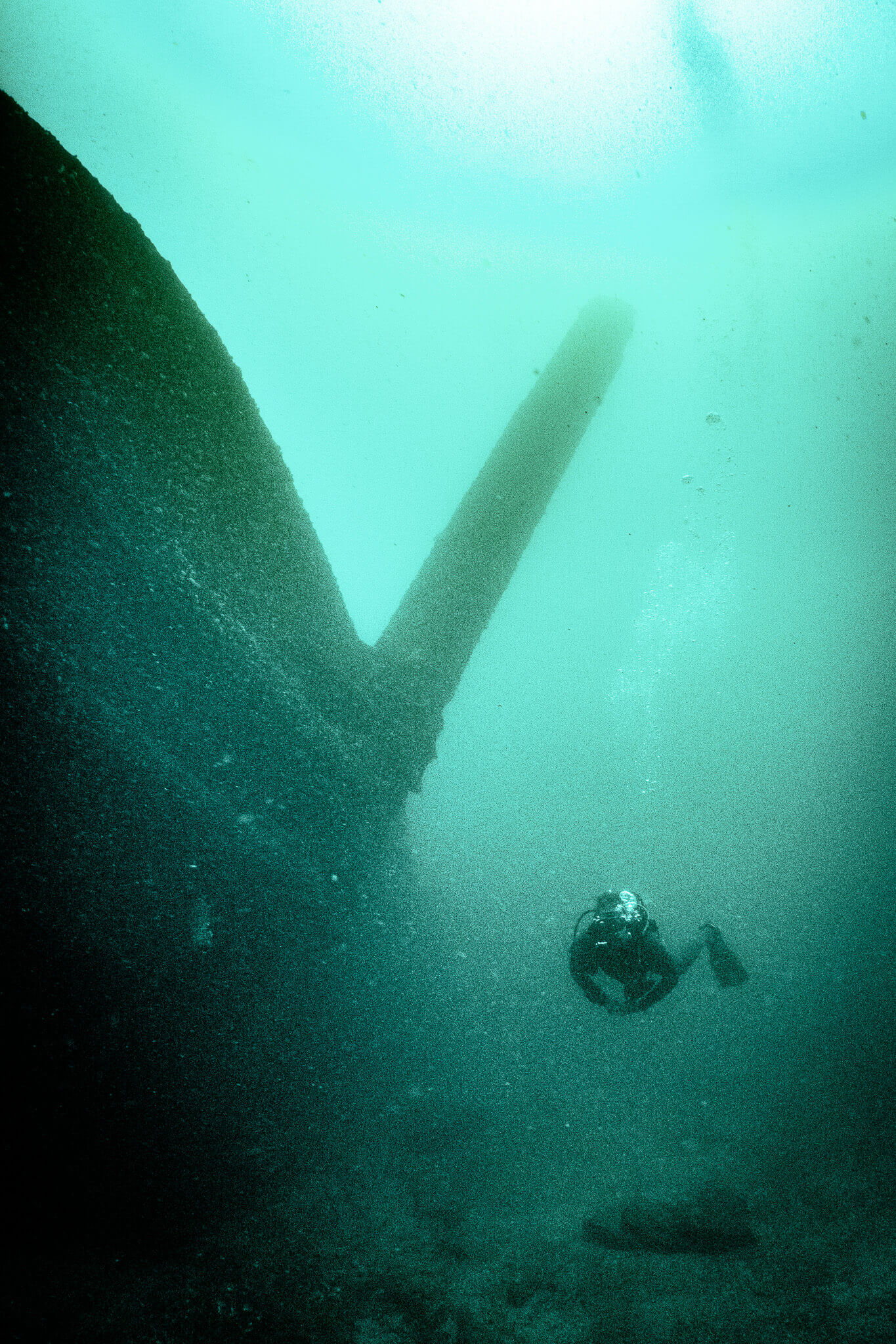 Underwater photo of the America shipwreck with its support legs