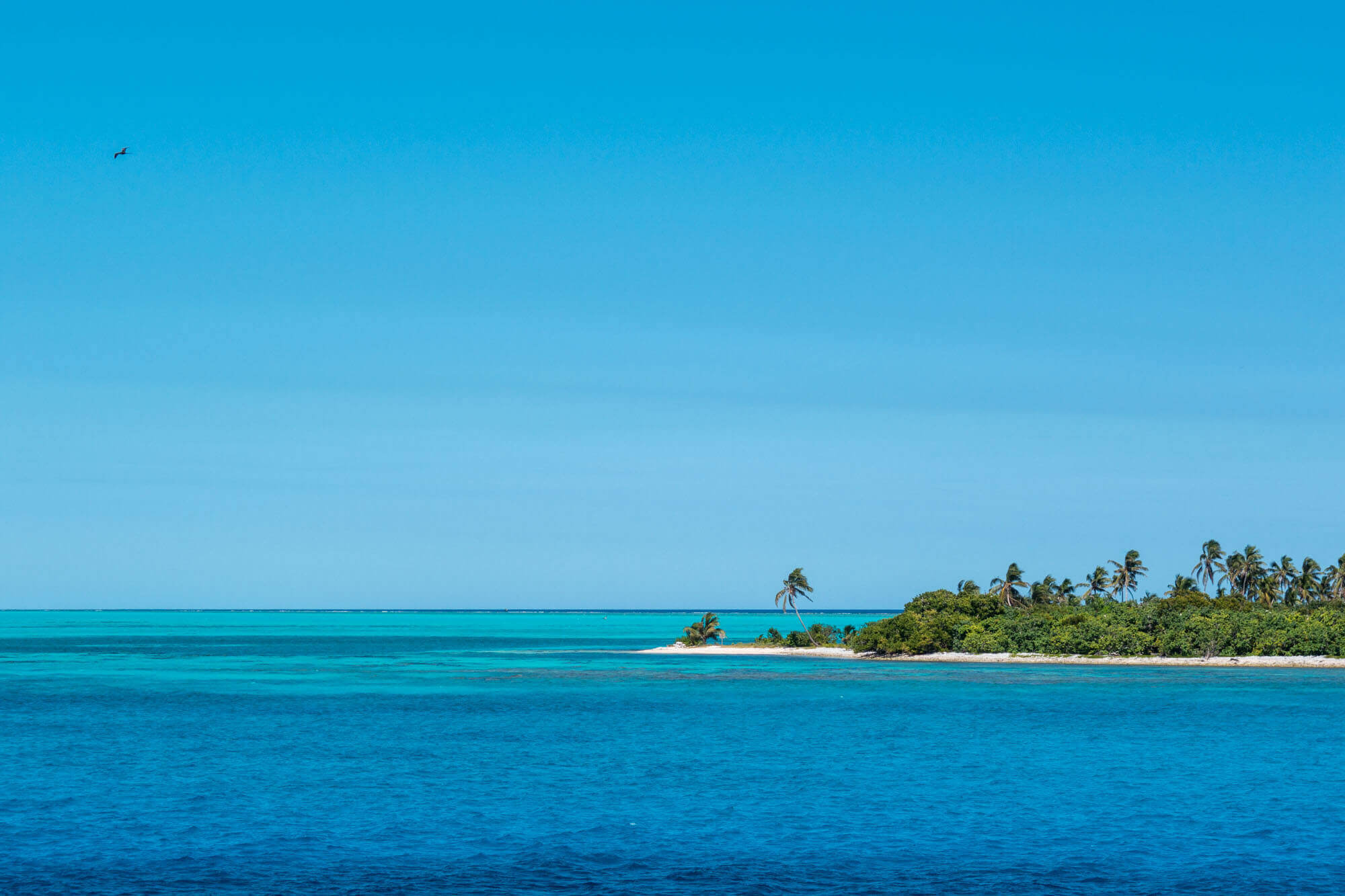 A picture-perfect sandy island surrounded by turquoise water off the coat of Belize