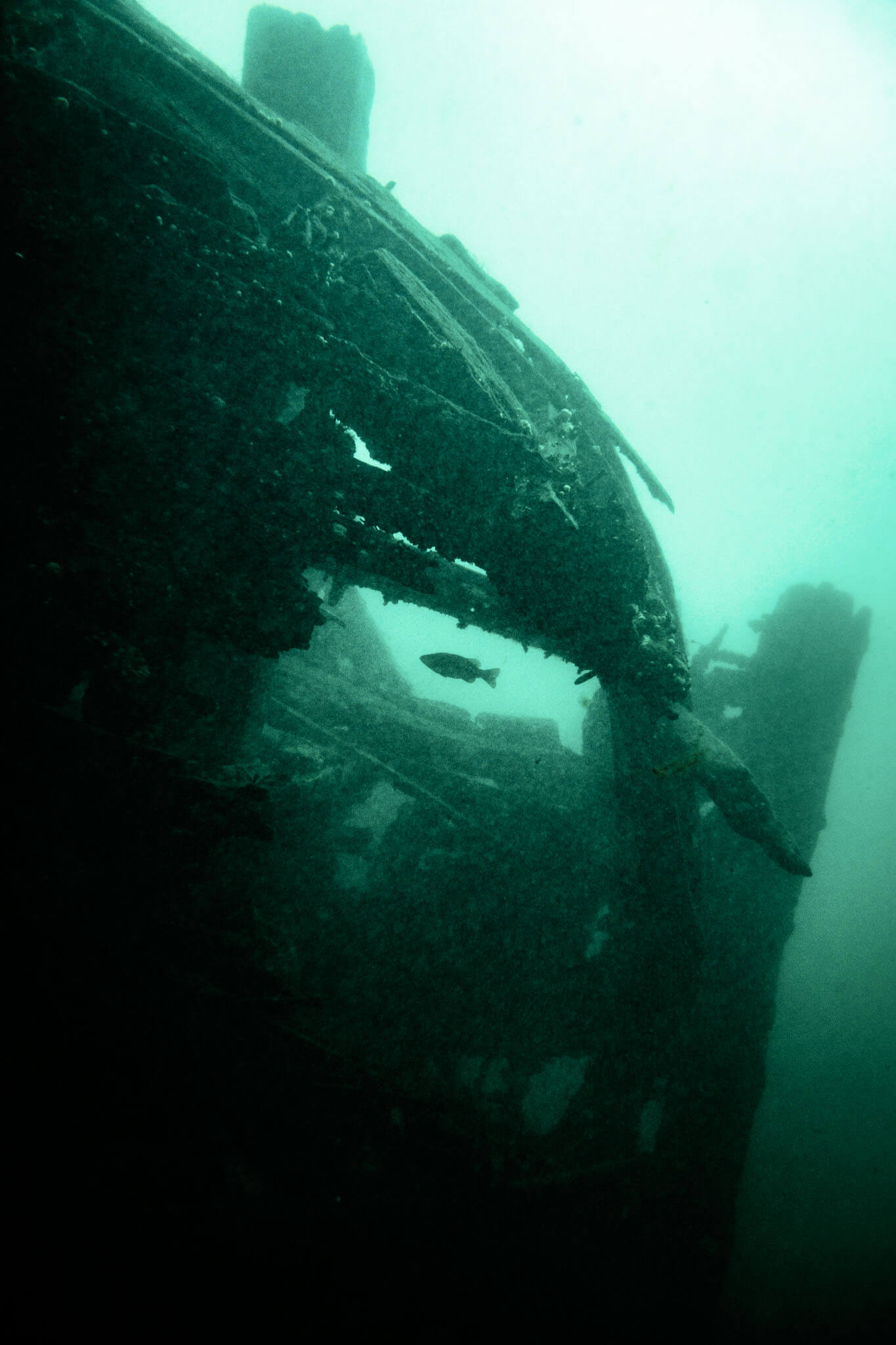 Underwater photo of the Robert Gaskin shipwreck in the St. Lawerence river