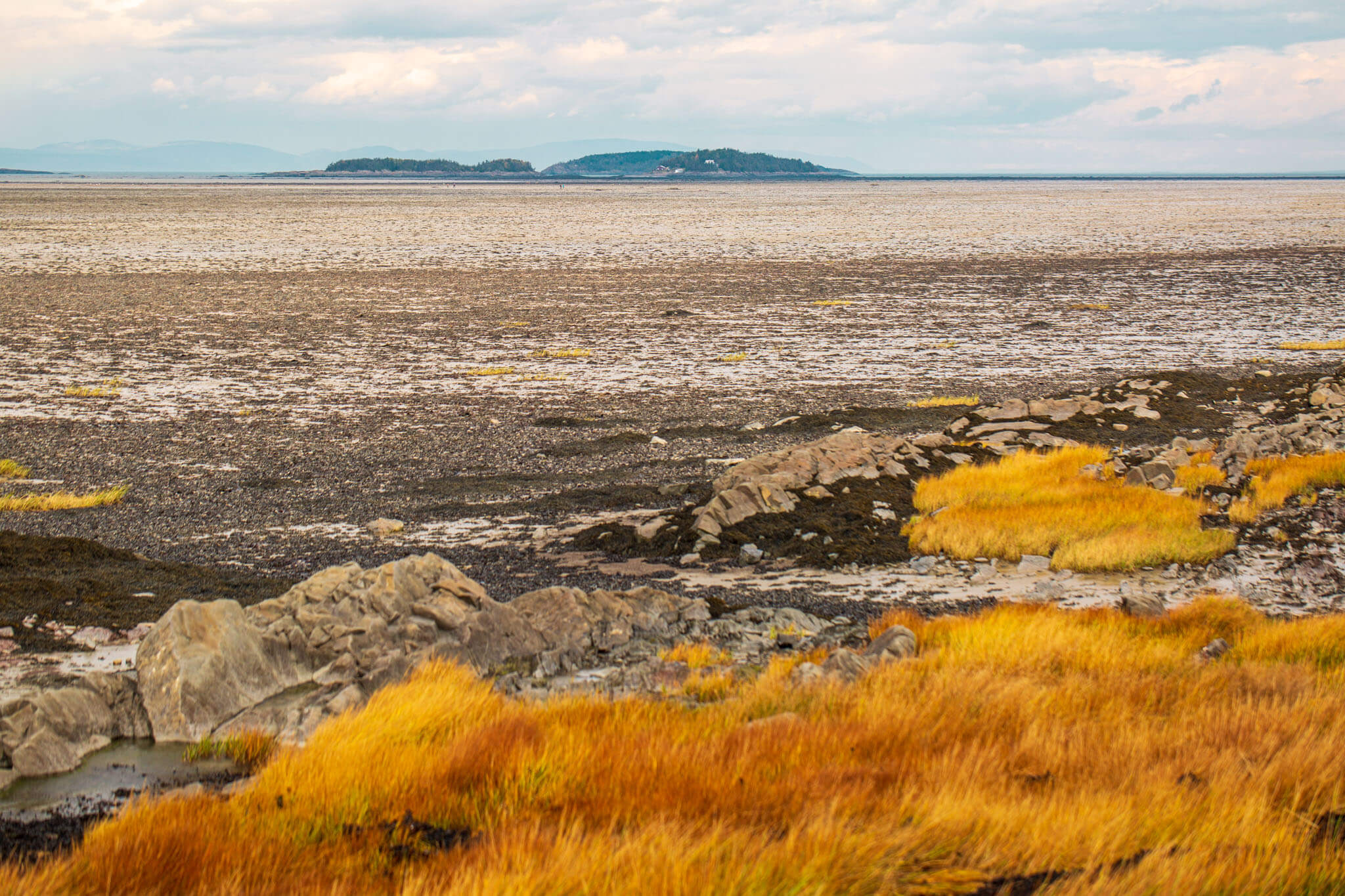 The St. Lawrence river in Kamouraska at low tide