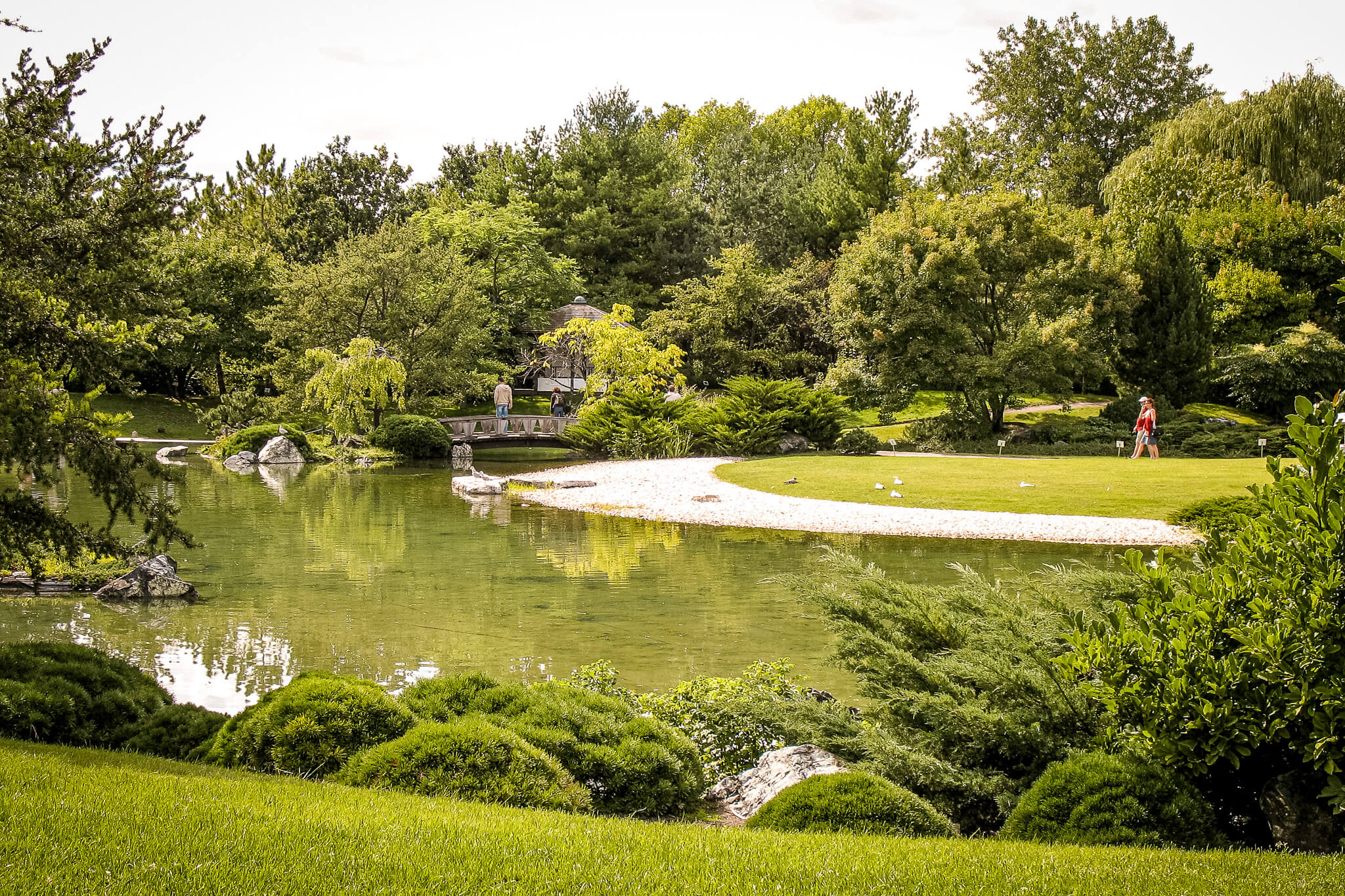 The Japanese garden at the Montreal Botanical Gardens