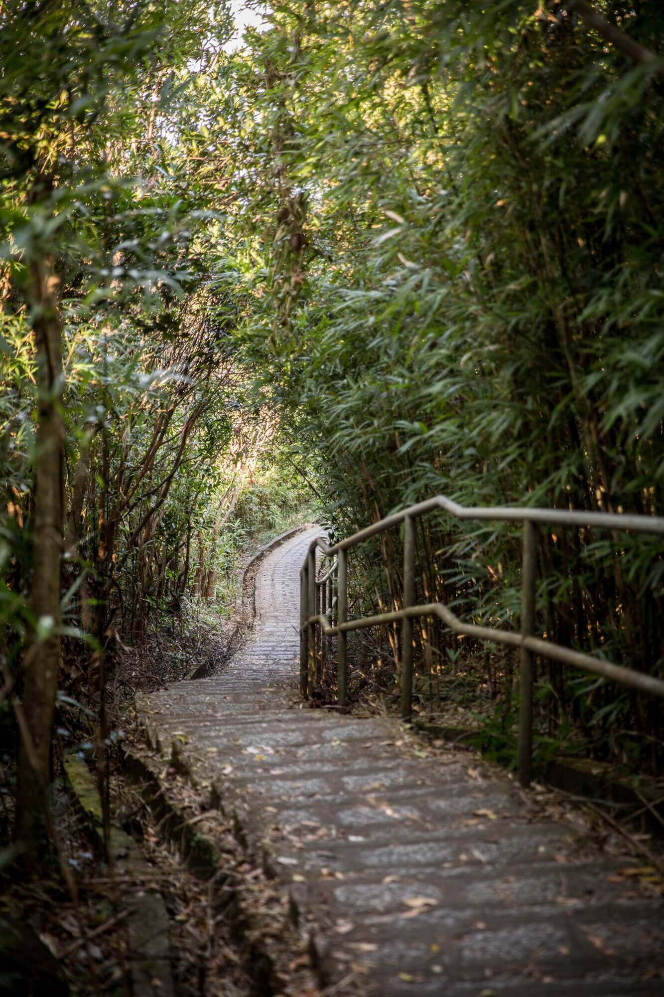 The Lung Fu Shan Fitness Trail section of the Morning Trail in Hong Kong