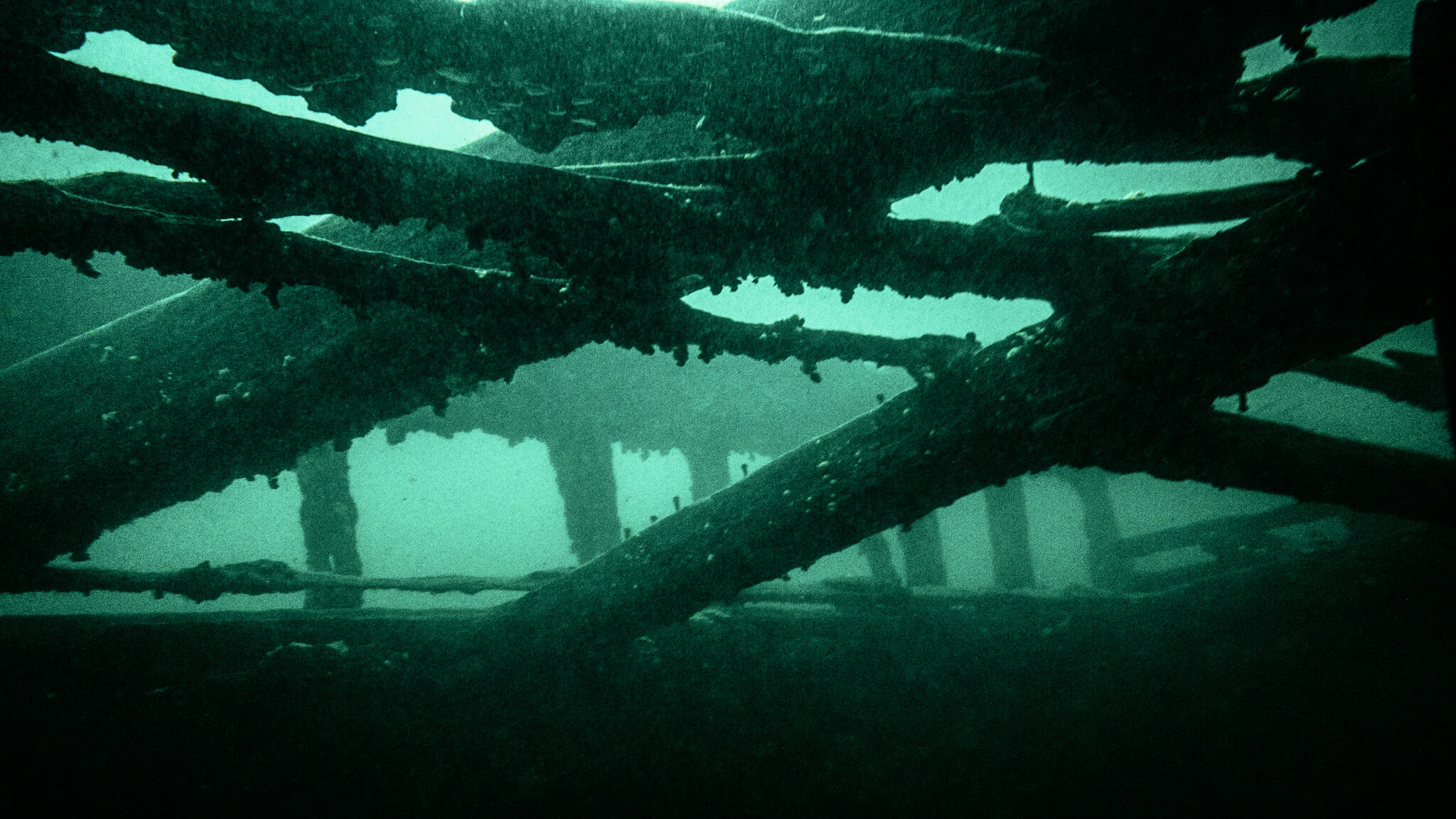 Underwater photo of the framing of the Robert Gaskin shipwreck