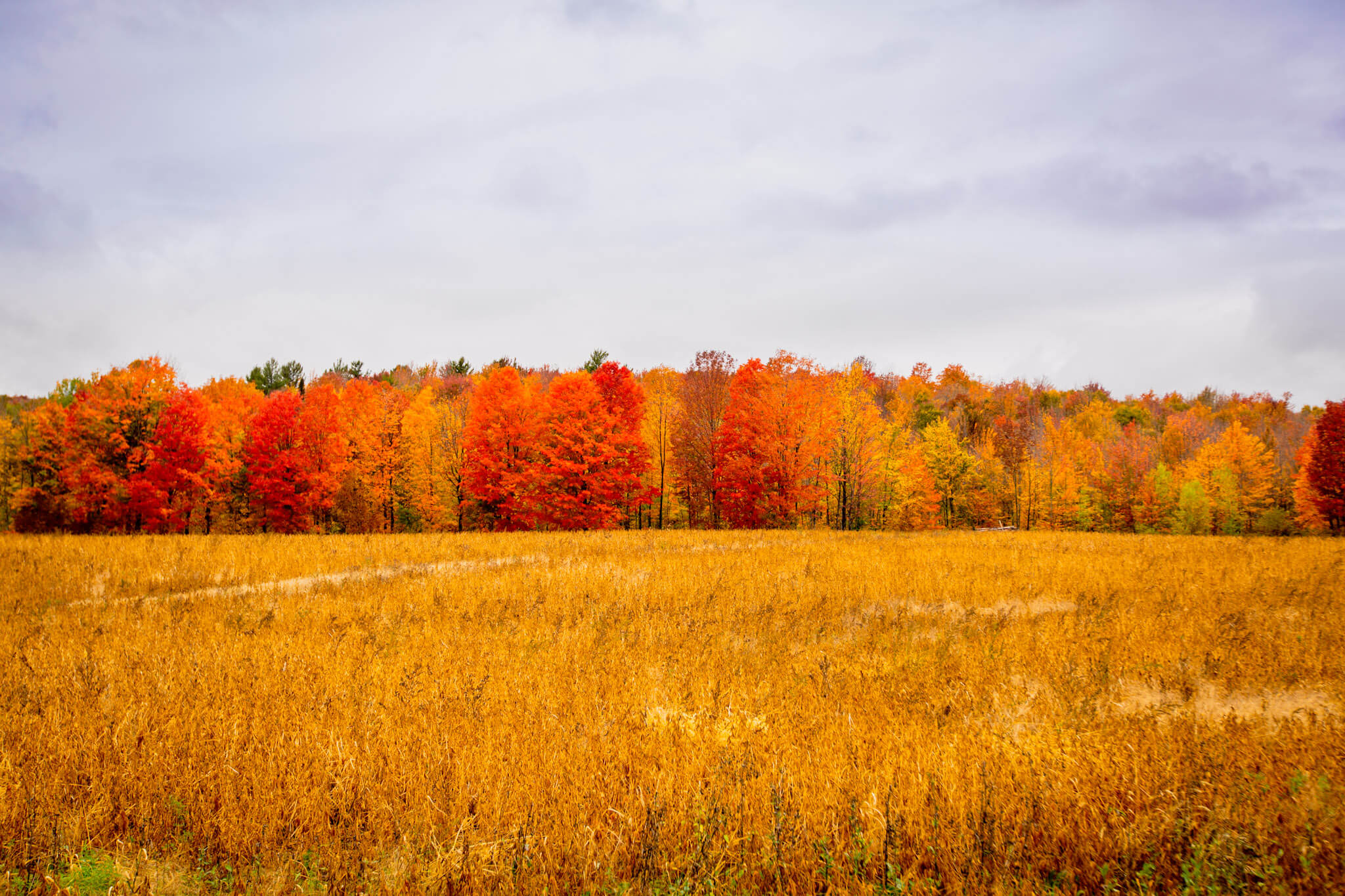 Stunning fall colours in the Eastern Townships of Québec