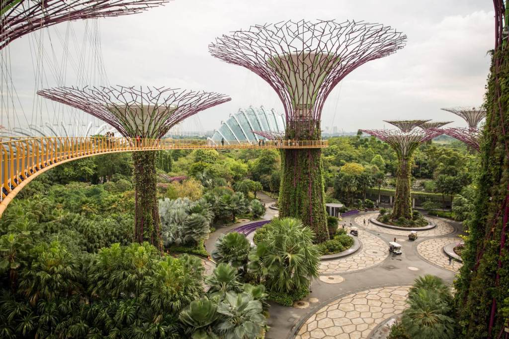 The Supertree Grove and OCBC Skyway at Gardens by the Bay in Singapore