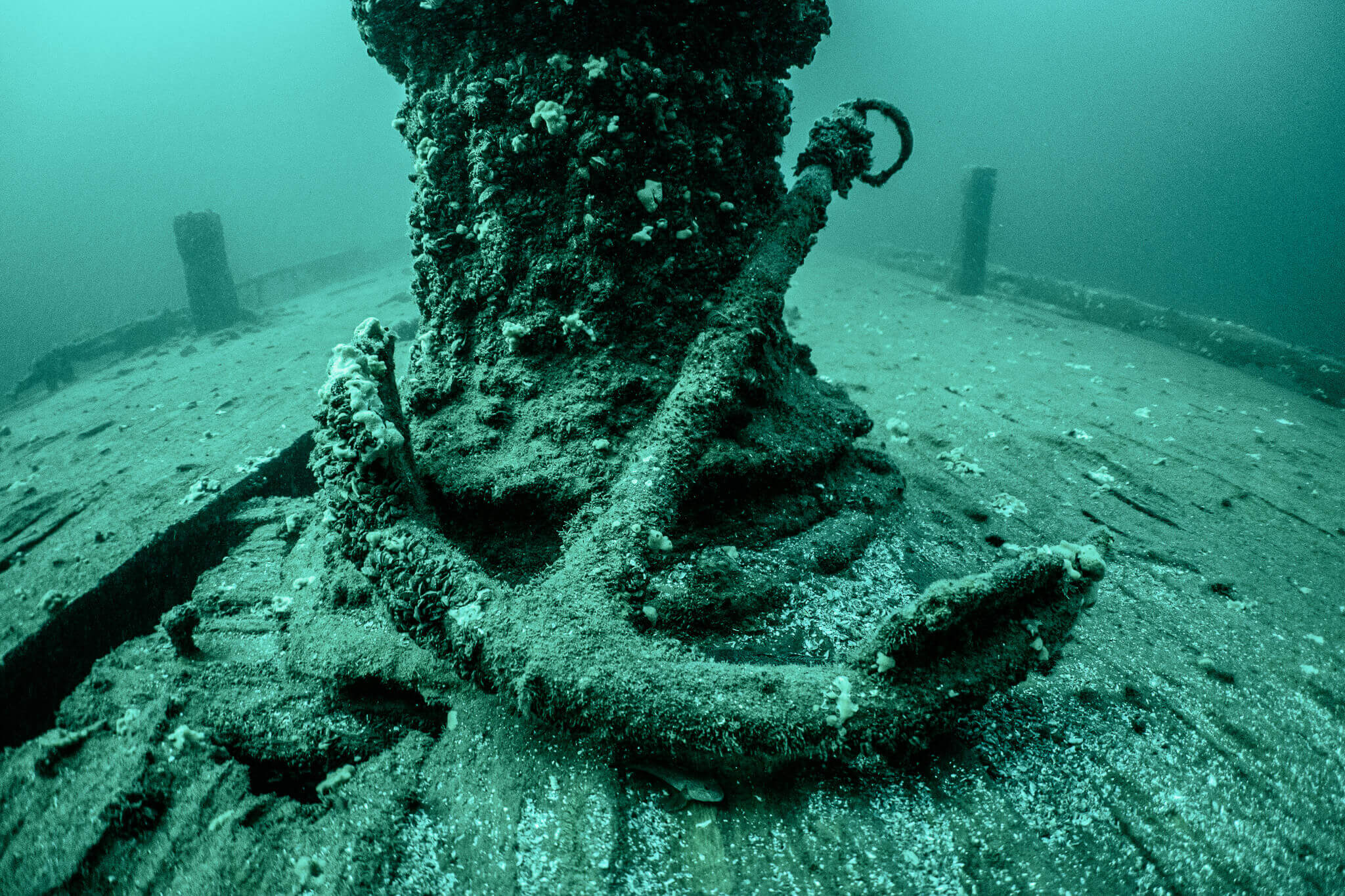 Underwater photo of an anchor sitting on the Kinghorn shipwreck