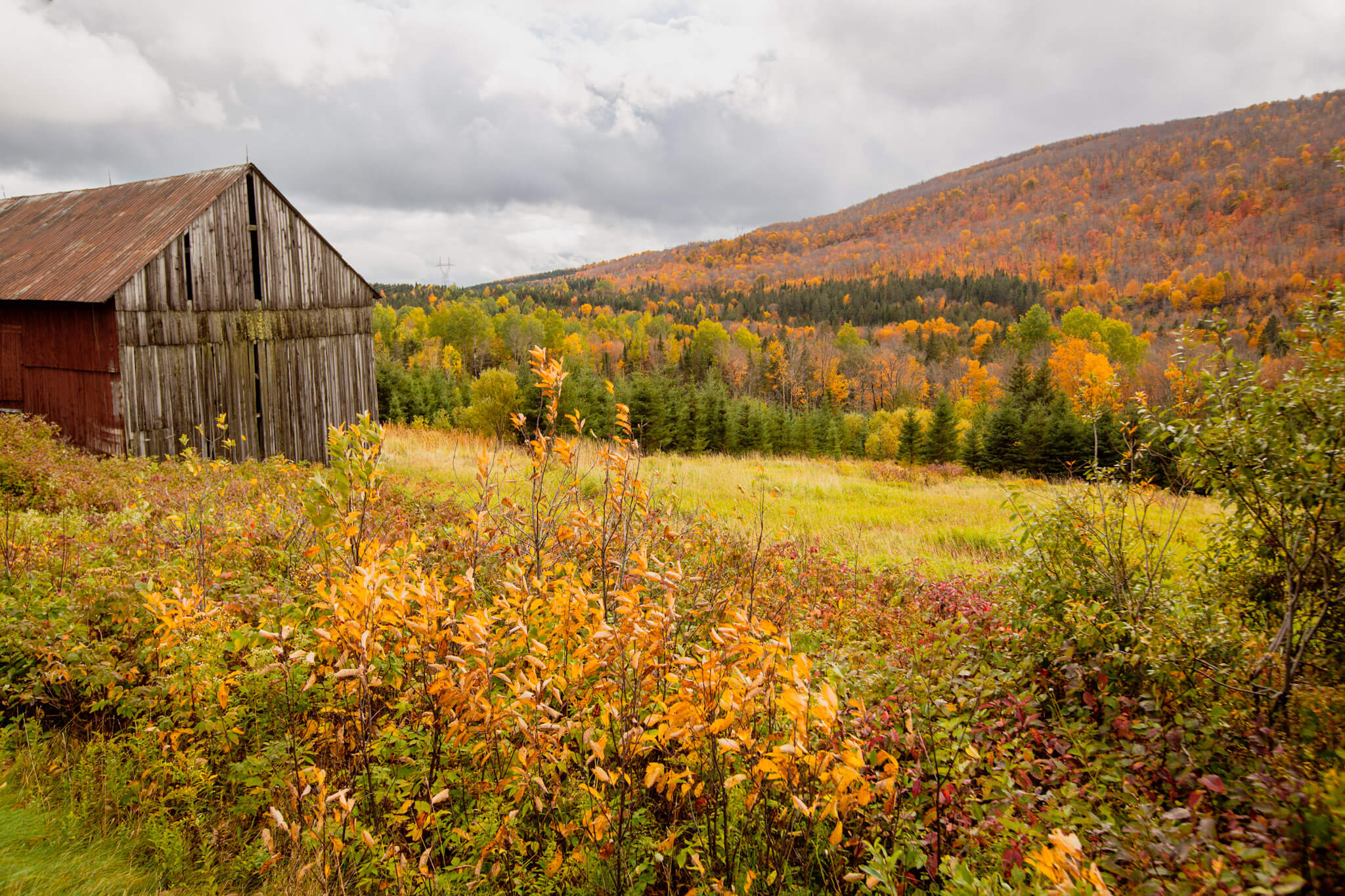 An old barn amid the fall colours in the Eastern Townships of Québec