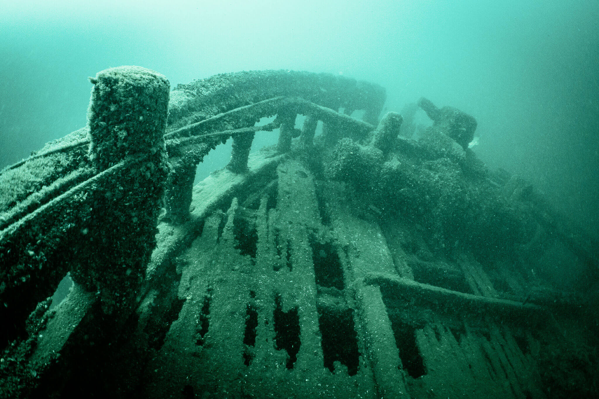Underwater photo of the bow of the A.E. Vickery shipwreck