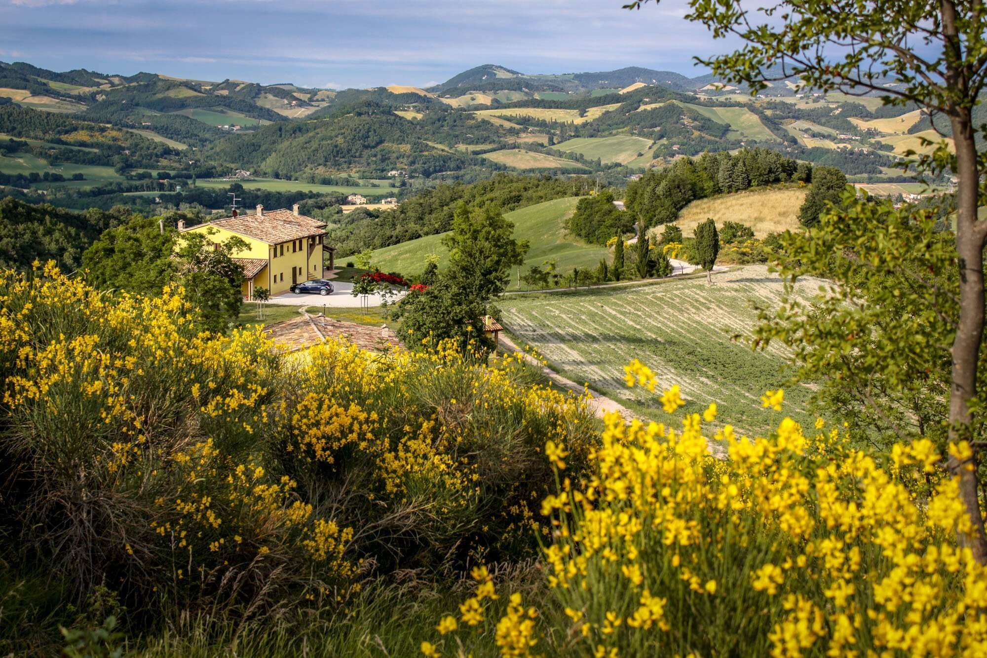 Country House Sant'Angiolino in the rolling hills of Le Marche, Italy