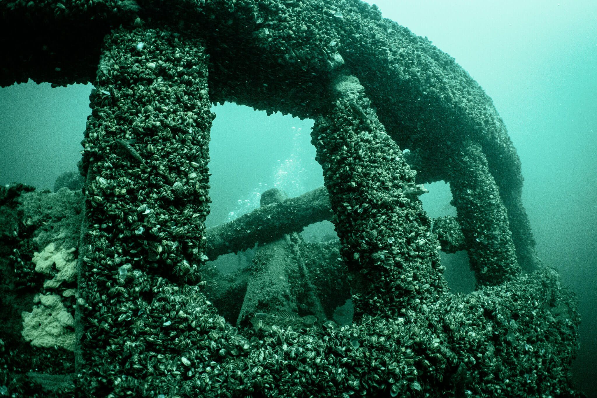 Underwater photo of the railing of the A.E. Vickery shipwreck