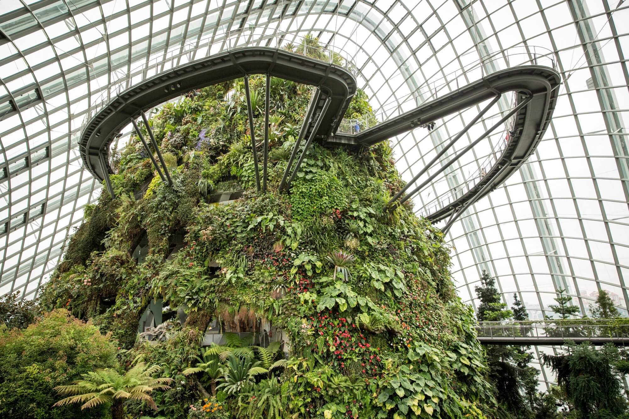The Cloud Forest conservatory at the Gardens by the Bay in Singapore