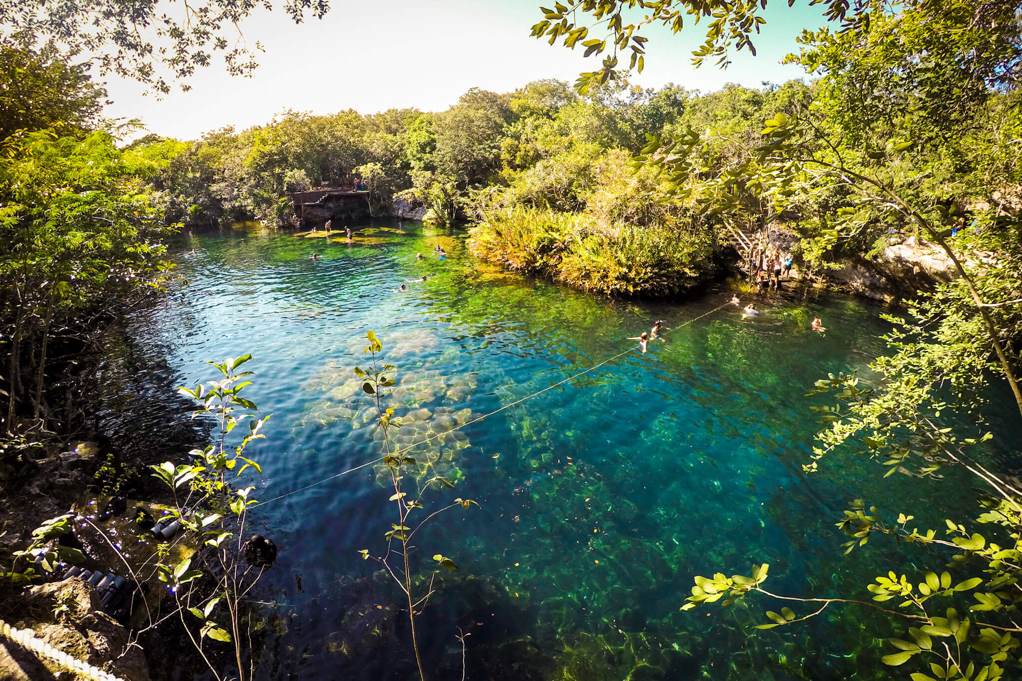 The Jardín del Eden cenote (also known as Cenote Ponderosa) near Puerto Aventuras, Mexico