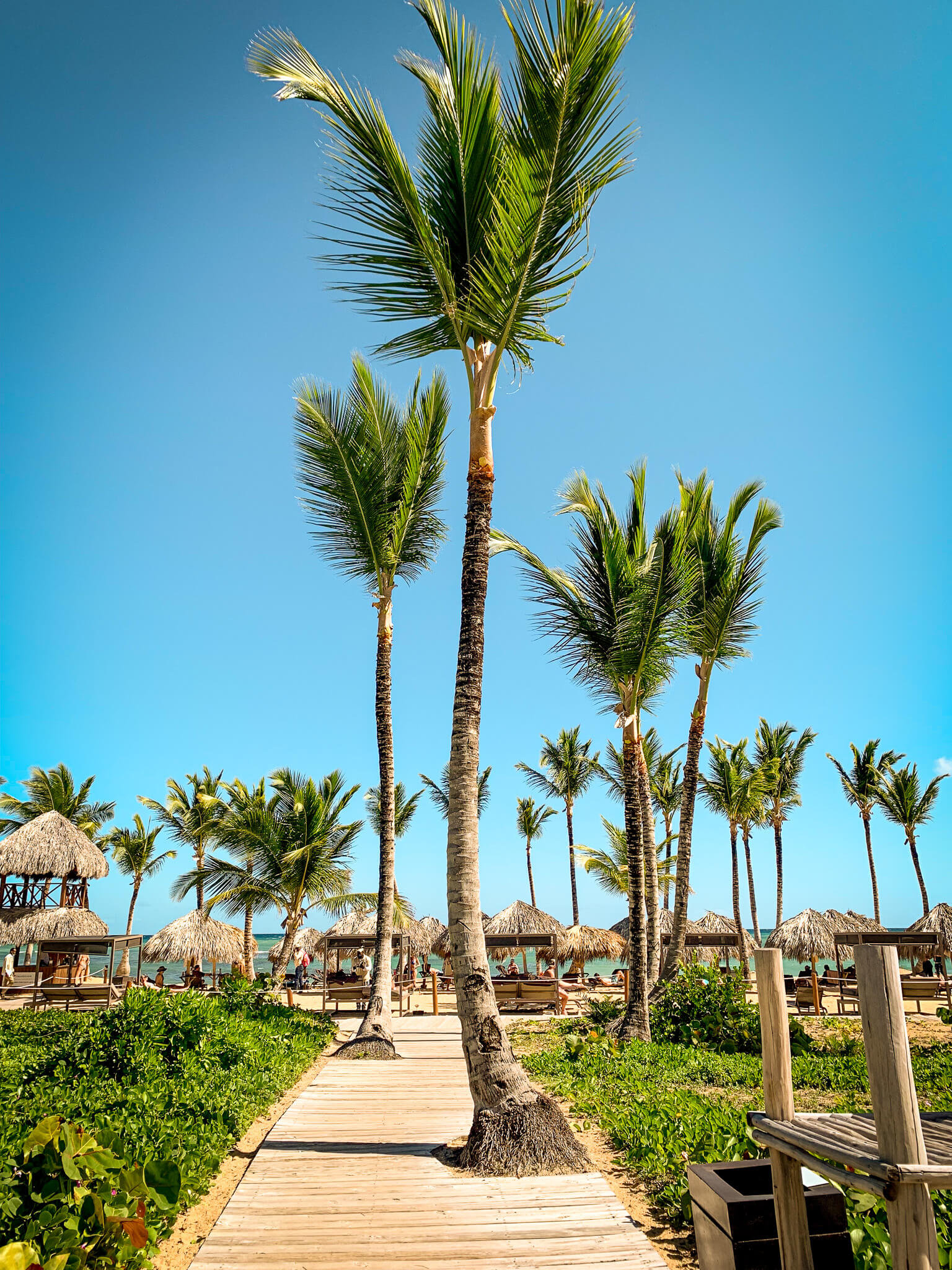 The path to the beach at Excellence El Carmen