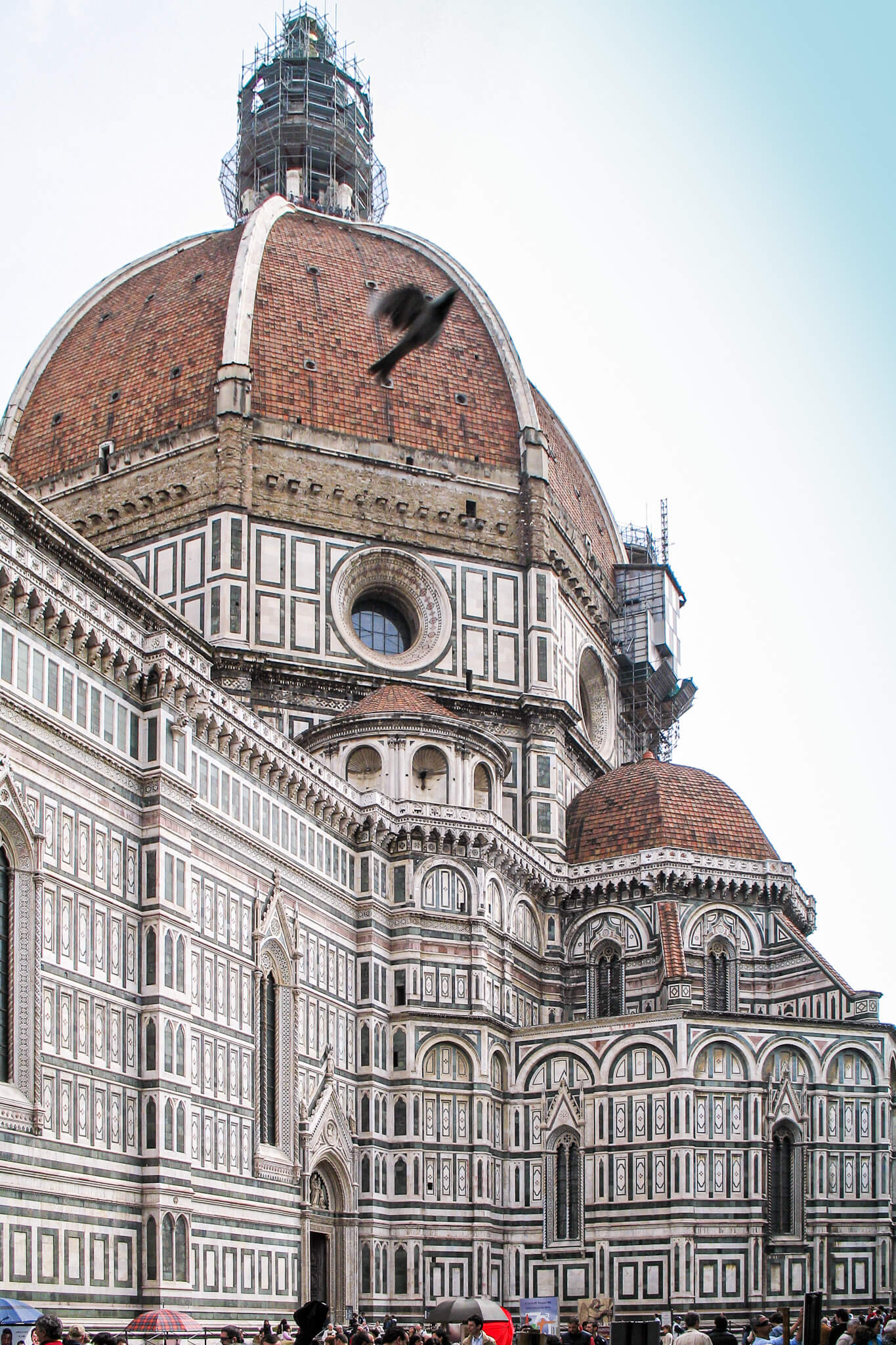 Dome and transept of the Florence Cathedral or Duomo