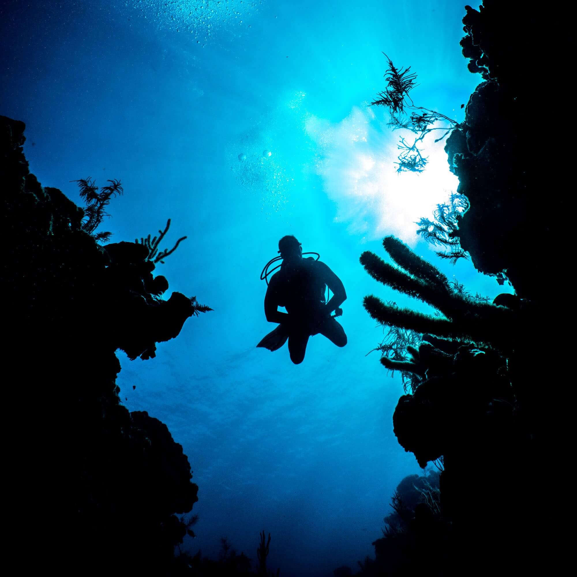 A scuba diver in silhouette between a coral channel in Belize