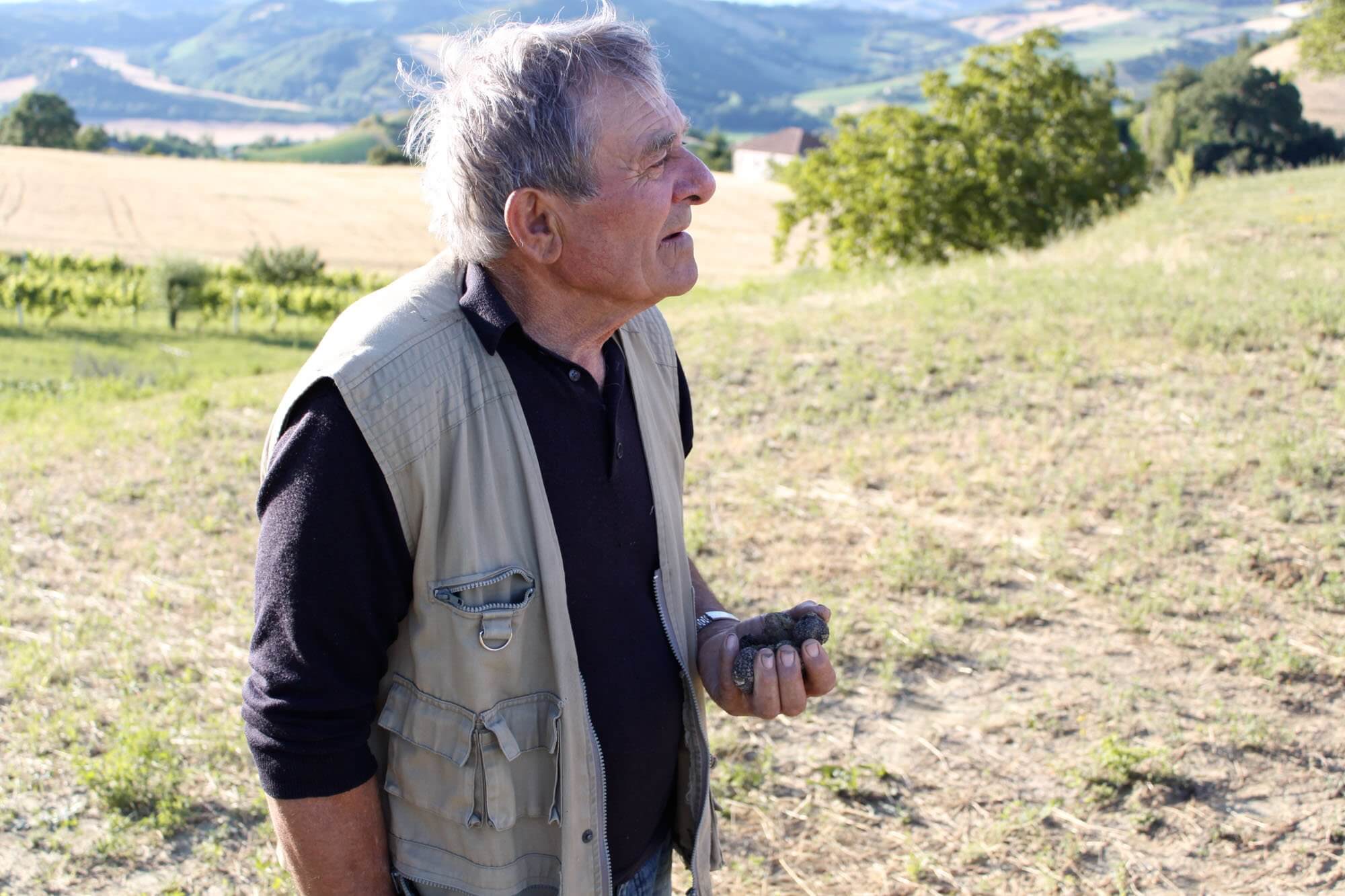 Hunting for truffles in Le Marche, Italy