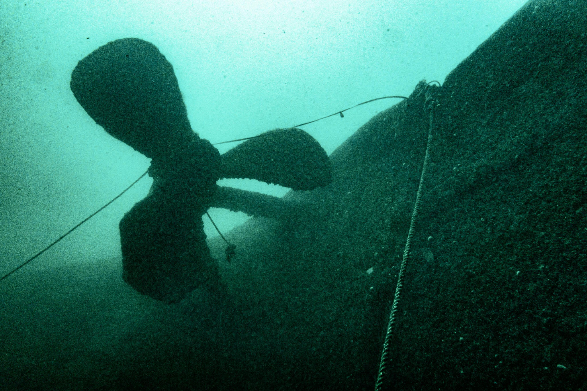 Underwater photo of a large propeller on the Henry C. Daryaw shipwreck