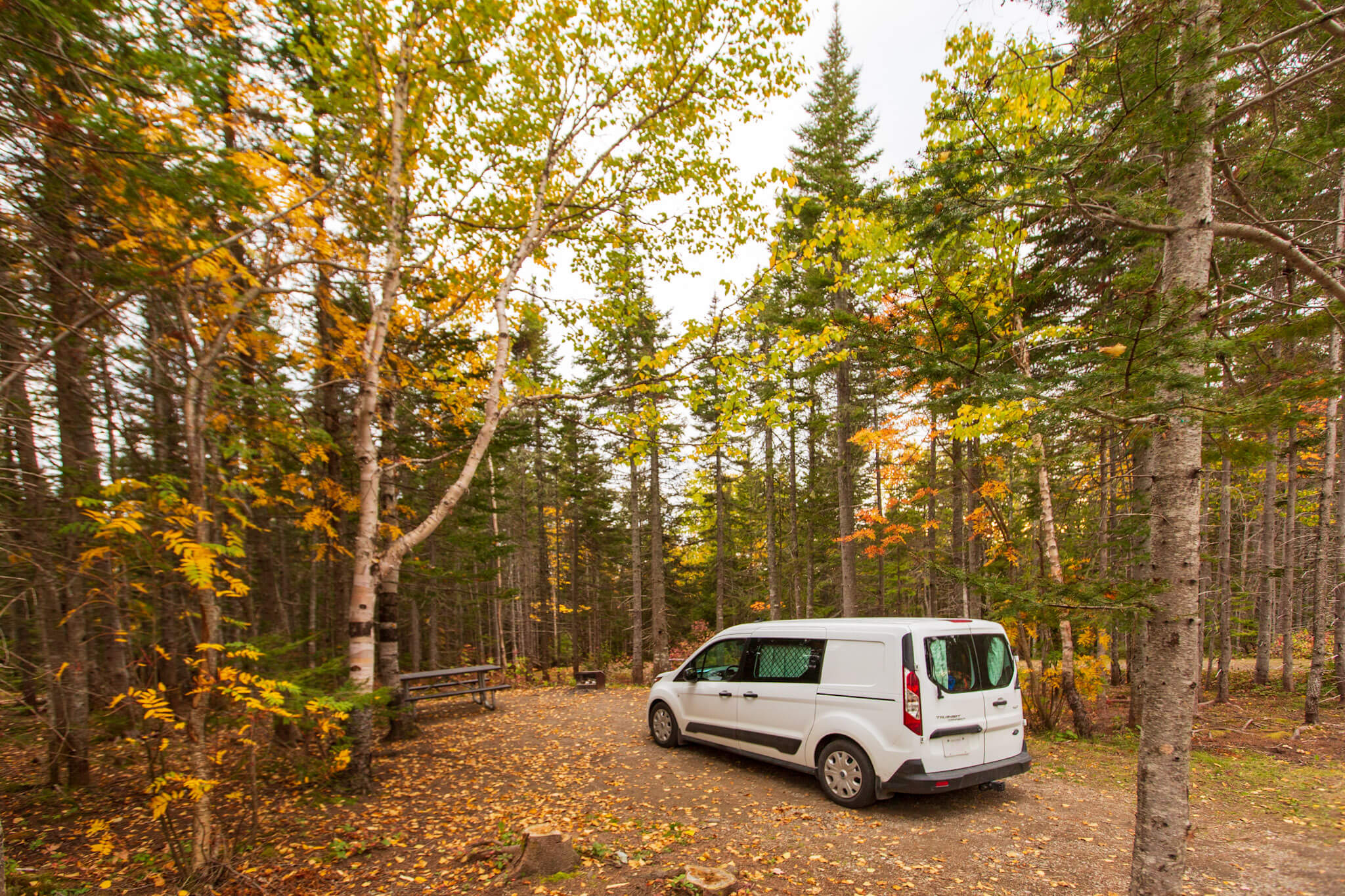 Generously-sized camp sites in the Petit-Gaspé campground in Forillon National Park