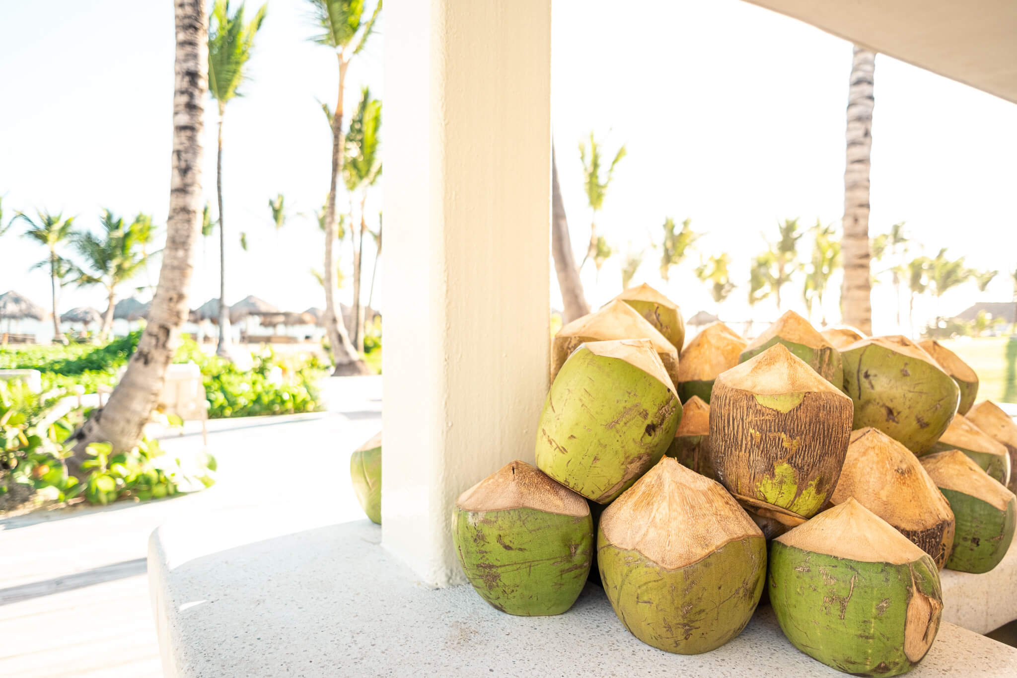 A pile of fresh coconuts at the bar in Excellence El Carmen